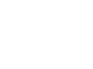 White Portrait Logo Aqua Sun